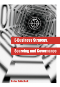 E Bussines Strategy, Sourcing and Governance